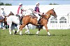 UKPA NC SAT_2283